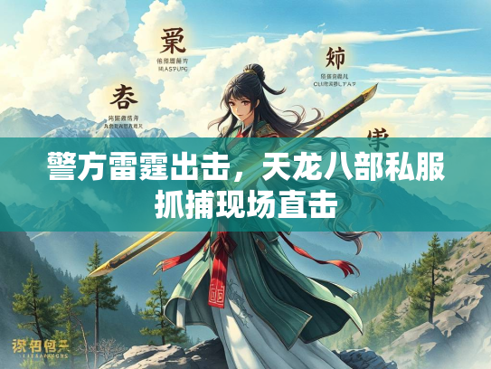 警方雷霆出击，天龙八部私服抓捕现场直击  第3张