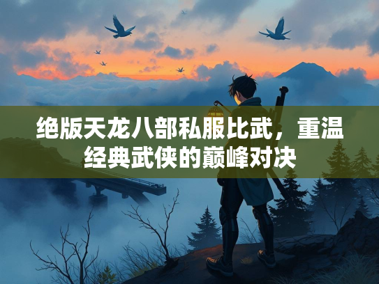 绝版天龙八部私服比武，重温经典武侠的巅峰对决  第1张