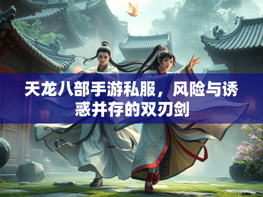 天龙八部手游私服，风险与诱惑并存的双刃剑  第2张