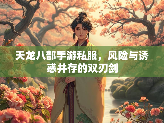 天龙八部手游私服，风险与诱惑并存的双刃剑