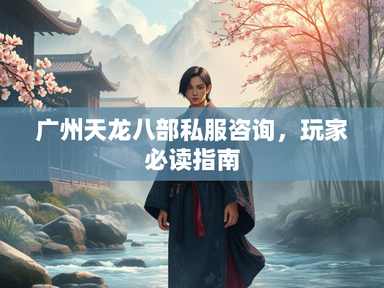 广州天龙八部私服咨询，玩家必读指南  第1张