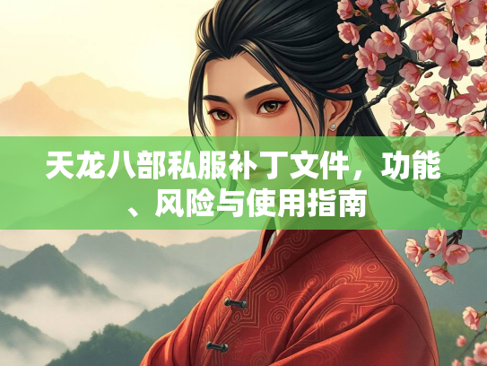 天龙八部私服补丁文件，功能、风险与使用指南  第2张