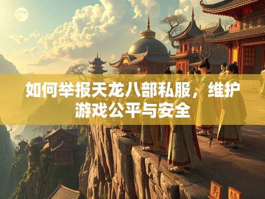 如何举报天龙八部私服，维护游戏公平与安全  第2张