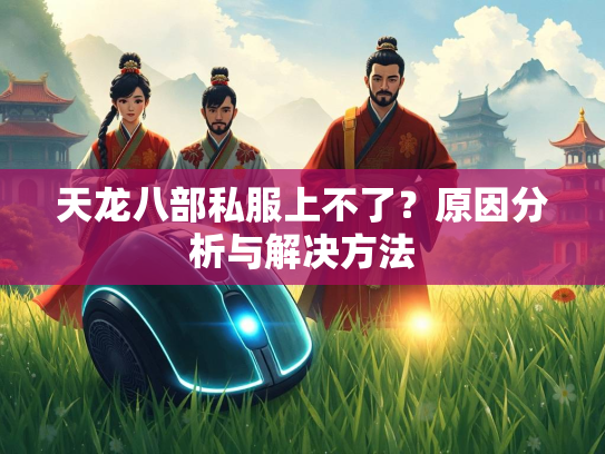 天龙八部私服上不了？原因分析与解决方法  第2张