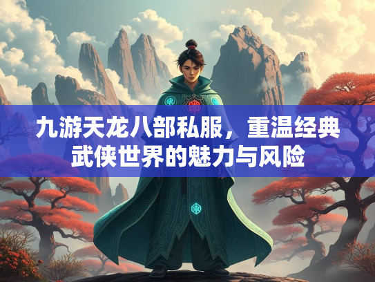 九游天龙八部私服，重温经典武侠世界的魅力与风险  第2张