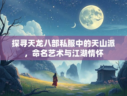 探寻天龙八部私服中的天山派，命名艺术与江湖情怀  第2张