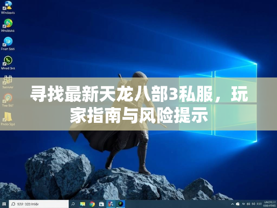 寻找最新天龙八部3私服，玩家指南与风险提示