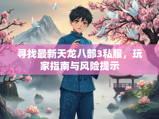 寻找最新天龙八部3私服，玩家指南与风险提示