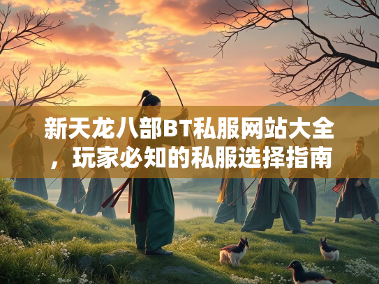 新天龙八部BT私服网站大全，玩家必知的私服选择指南