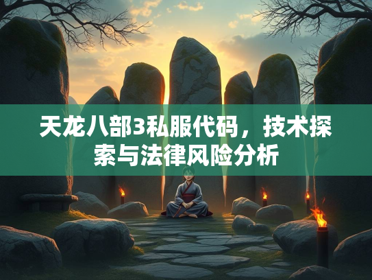 天龙八部3私服代码，技术探索与法律风险分析  第2张