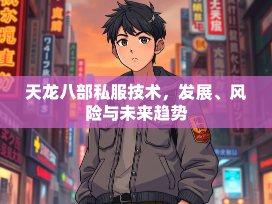 天龙八部私服技术，发展、风险与未来趋势