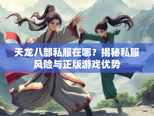 天龙八部私服在哪？揭秘私服风险与正版游戏优势  第3张
