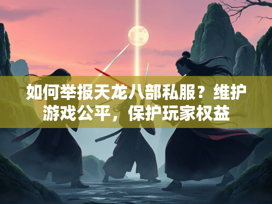 如何举报天龙八部私服？维护游戏公平，保护玩家权益  第2张