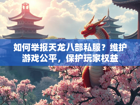 如何举报天龙八部私服？维护游戏公平，保护玩家权益  第1张