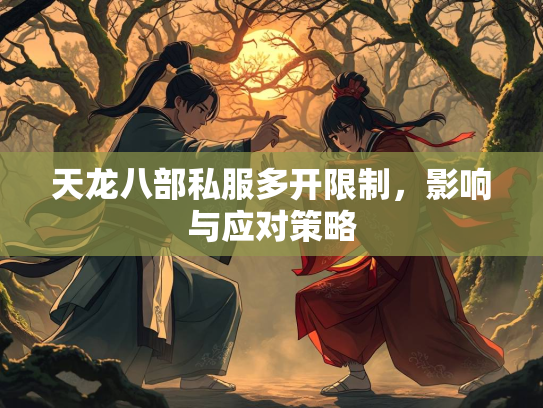天龙八部私服多开限制，影响与应对策略  第3张