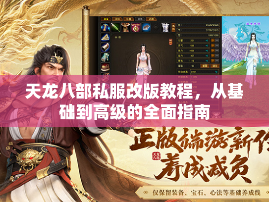 天龙八部私服改版教程，从基础到高级的全面指南  第1张