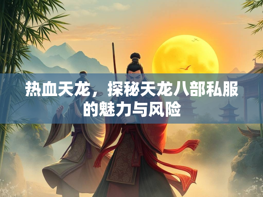 热血天龙，探秘天龙八部私服的魅力与风险