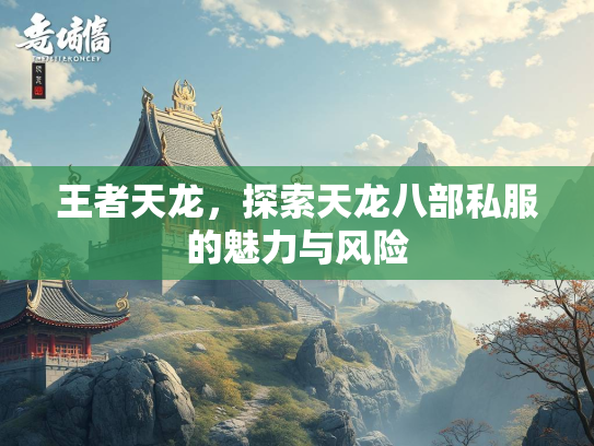 王者天龙，探索天龙八部私服的魅力与风险  第2张