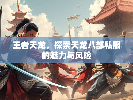 王者天龙，探索天龙八部私服的魅力与风险