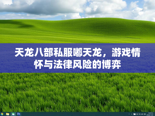 天龙八部私服嘟天龙，游戏情怀与法律风险的博弈  第3张