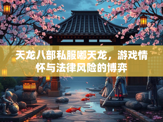 天龙八部私服嘟天龙，游戏情怀与法律风险的博弈  第1张