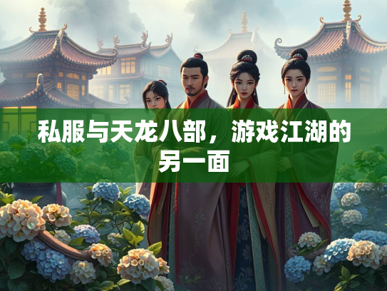 私服与天龙八部，游戏江湖的另一面  第3张