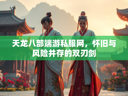 天龙八部端游私服网，怀旧与风险并存的双刃剑