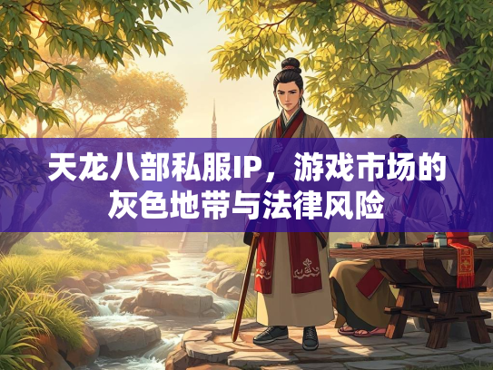 天龙八部私服IP，游戏市场的灰色地带与法律风险  第1张
