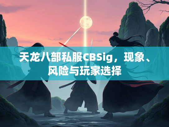 天龙八部私服CBSig，现象、风险与玩家选择