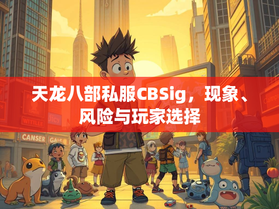 天龙八部私服CBSig，现象、风险与玩家选择