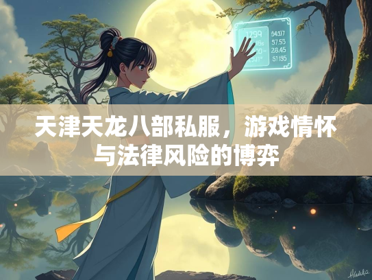 天津天龙八部私服，游戏情怀与法律风险的博弈  第2张