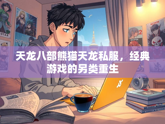 天龙八部熊猫天龙私服，经典游戏的另类重生