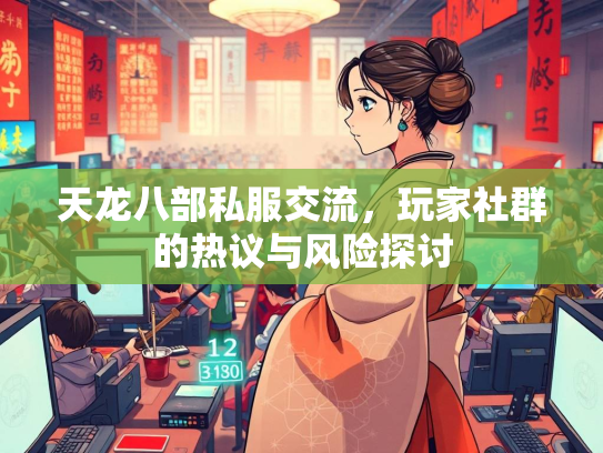 天龙八部私服交流，玩家社群的热议与风险探讨  第2张