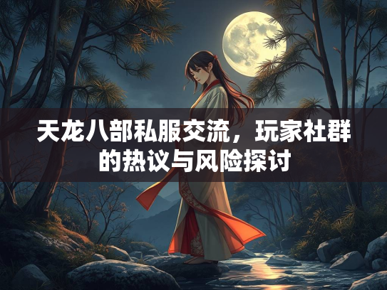 天龙八部私服交流，玩家社群的热议与风险探讨