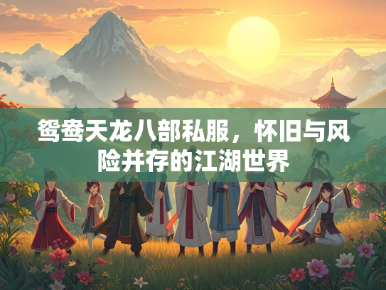 鸳鸯天龙八部私服，怀旧与风险并存的江湖世界  第2张