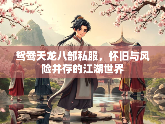 鸳鸯天龙八部私服，怀旧与风险并存的江湖世界