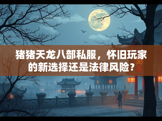 猪猪天龙八部私服，怀旧玩家的新选择还是法律风险？  第2张