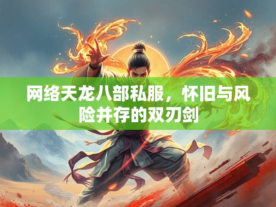 网络天龙八部私服，怀旧与风险并存的双刃剑  第2张