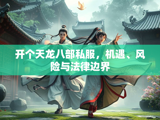 开个天龙八部私服，机遇、风险与法律边界