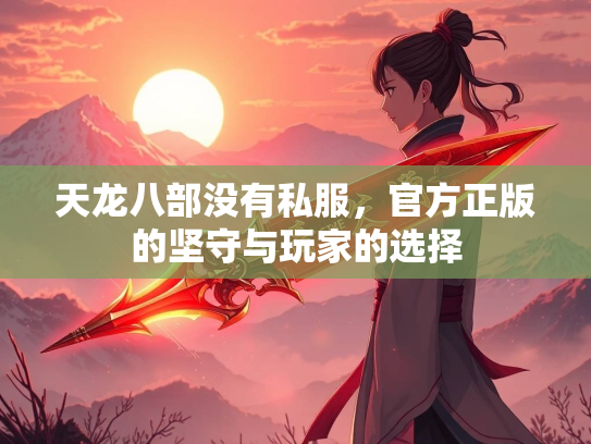 天龙八部没有私服，官方正版的坚守与玩家的选择  第2张
