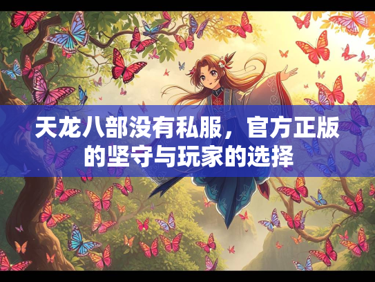 天龙八部没有私服，官方正版的坚守与玩家的选择  第3张