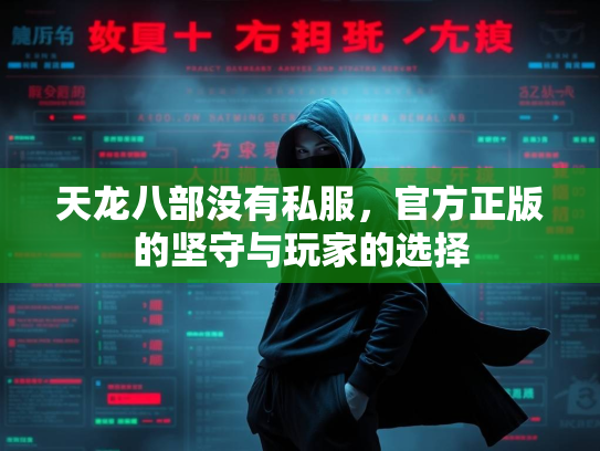 天龙八部没有私服，官方正版的坚守与玩家的选择  第1张