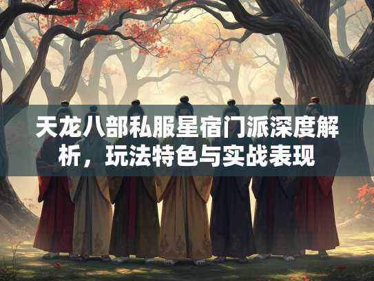 天龙八部私服星宿门派深度解析，玩法特色与实战表现