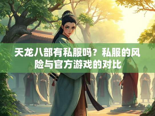 天龙八部有私服吗？私服的风险与官方游戏的对比  第4张