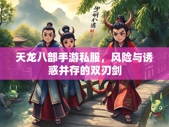 天龙八部手游私服，风险与诱惑并存的双刃剑  第5张