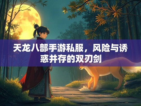 天龙八部手游私服，风险与诱惑并存的双刃剑