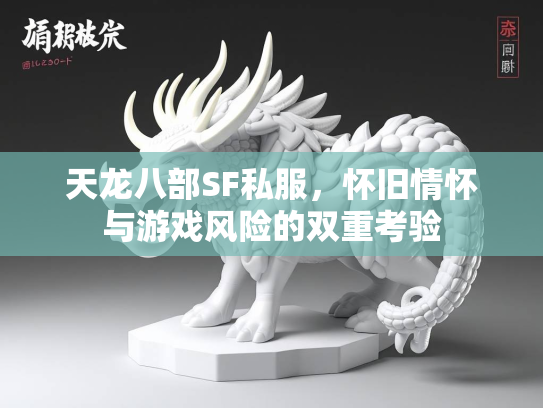 天龙八部SF私服，怀旧情怀与游戏风险的双重考验  第5张