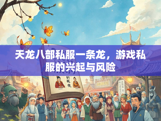 天龙八部私服一条龙，游戏私服的兴起与风险