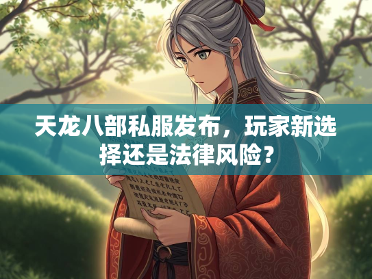 天龙八部私服发布，玩家新选择还是法律风险？  第4张