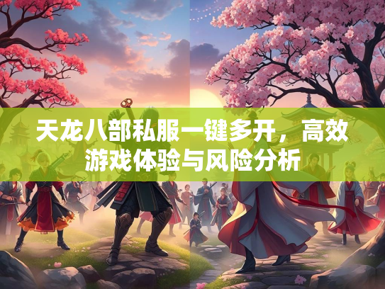 天龙八部私服一键多开，高效游戏体验与风险分析